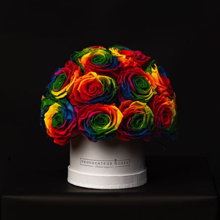 Glamour Little Arcoíris