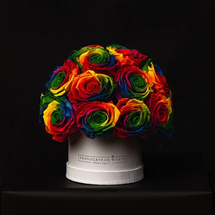 Glamour Little Rainbow