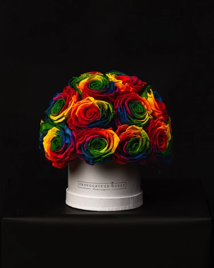 Glamour Little Rainbow