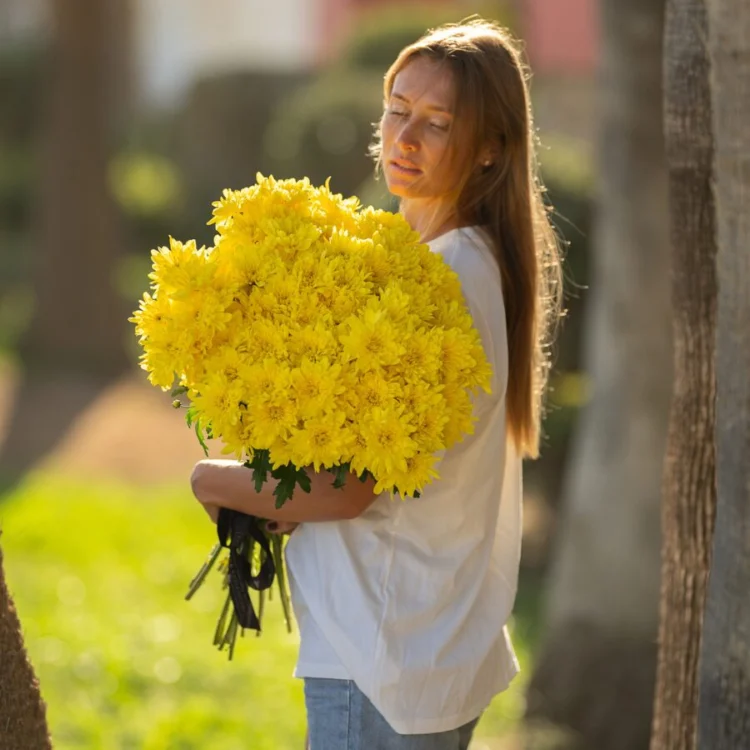 Bouquet of Yellow Daisies 30 Stems