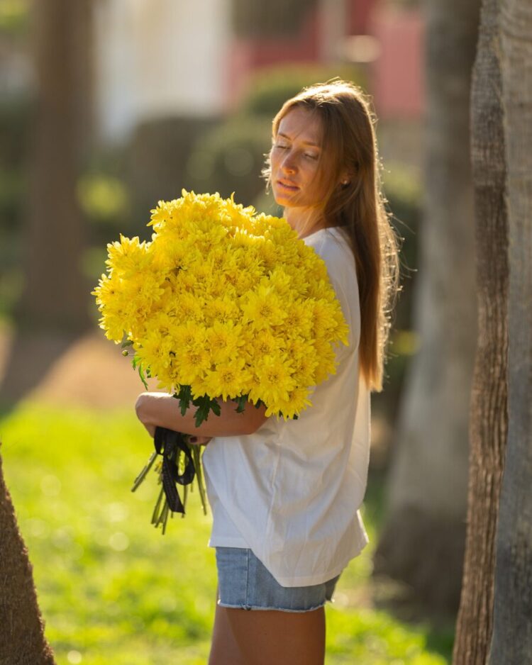 Ramo Margaritas Amarillas 30 Tallos