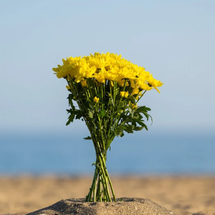 Bouquet of 10 Yellow Daisies