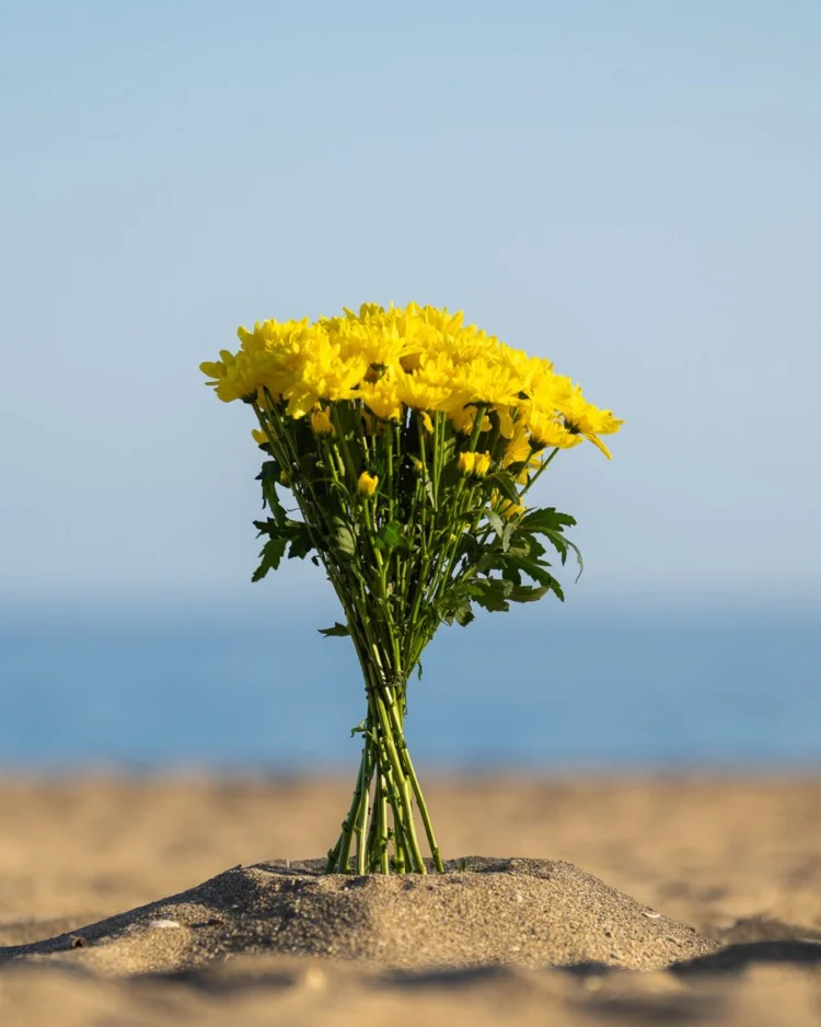 Bouquet of 10 Yellow Daisies