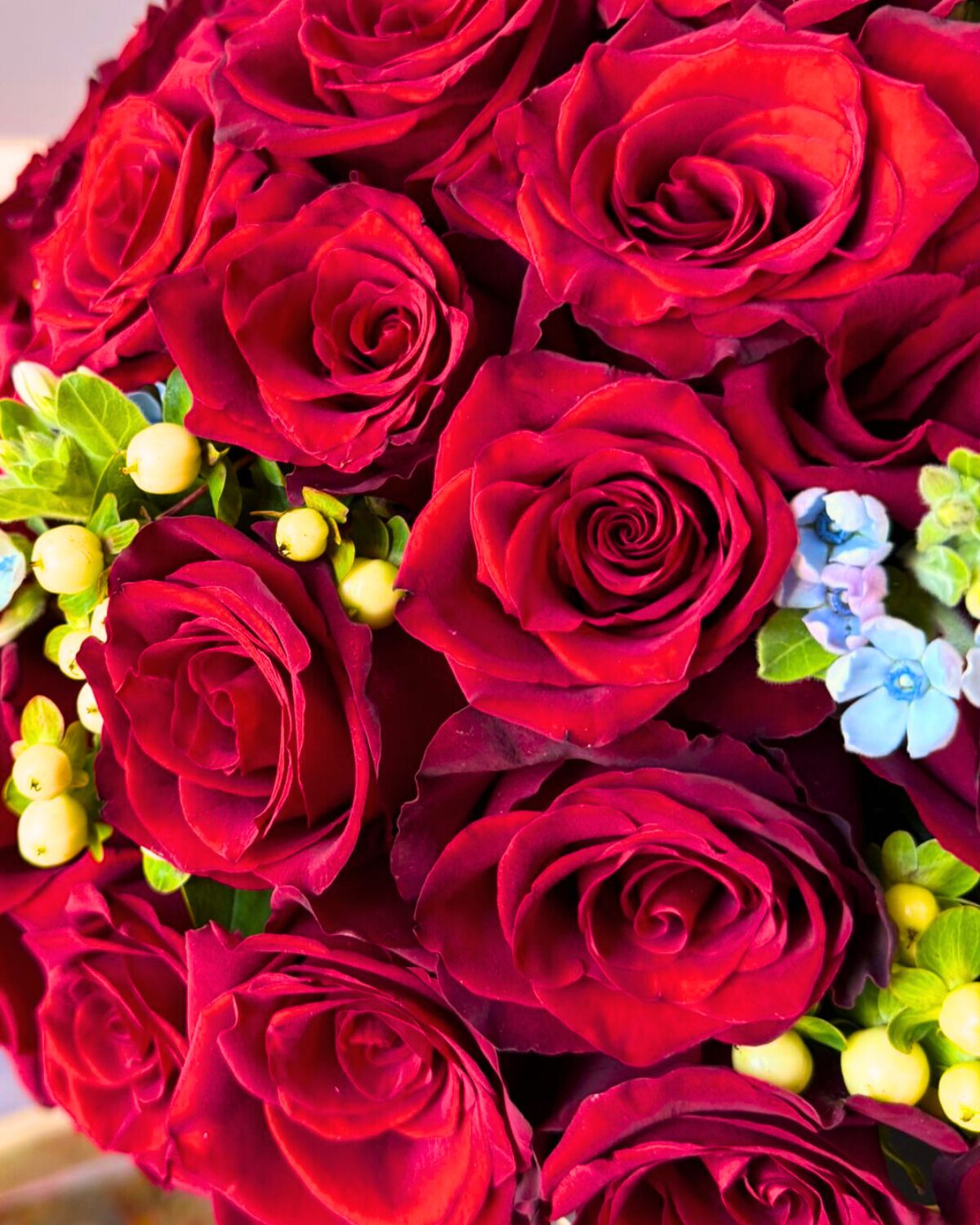 Bella y Bestia Box - Imagen 3