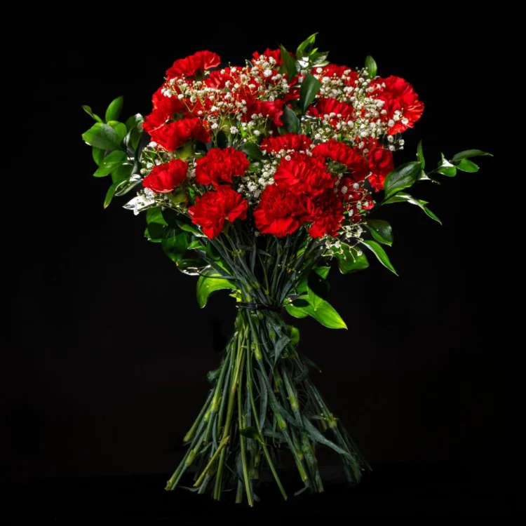 Bouquet of 24 Red Carnations with Greenery