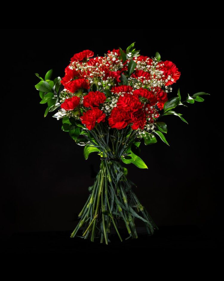 Ramo 24 Claveles Rojos con Verdes