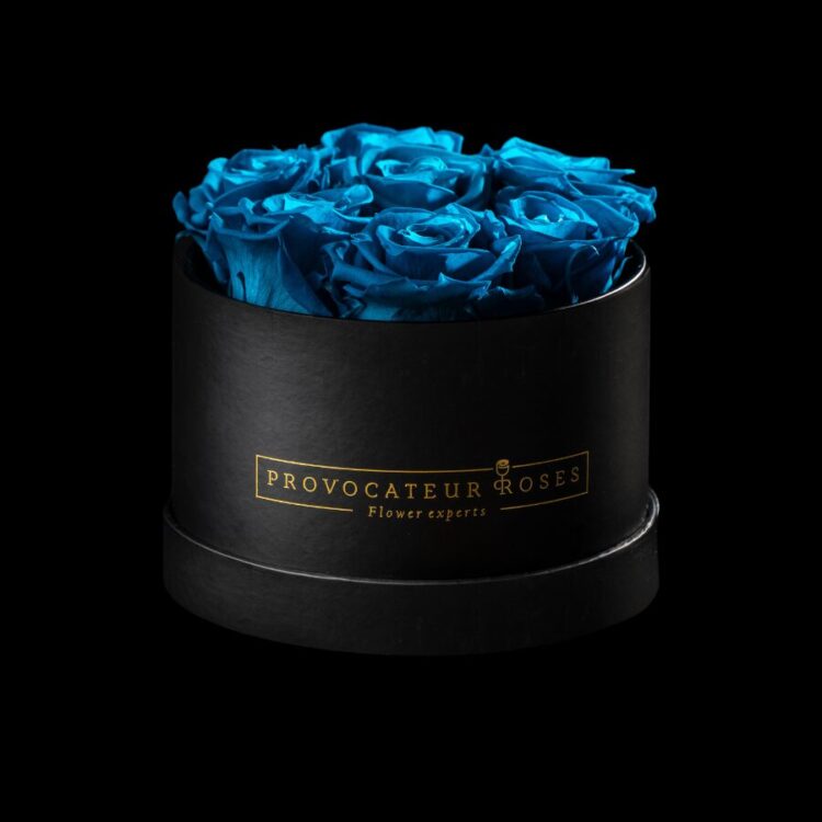 Eternal Box 12 cm – Rosas preservadas premium