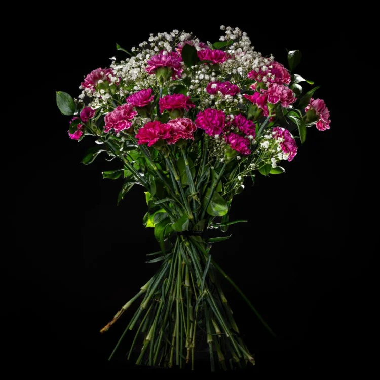 Bouquet of 24 Purple Carnations with Greenery