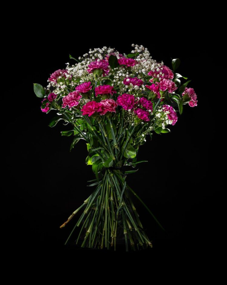 Ramo 24 Claveles Morados con Verdes