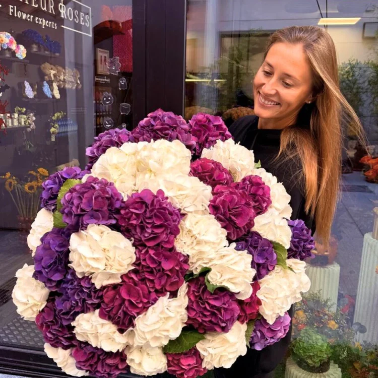 40 Premium Hydrangeas