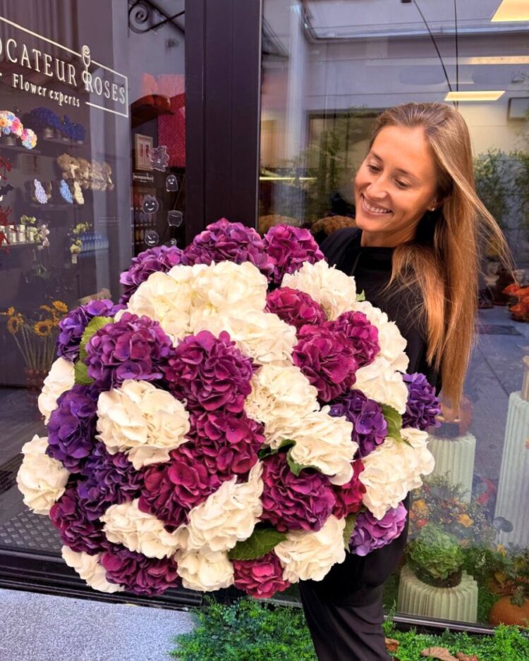 40 Hortensias Premium