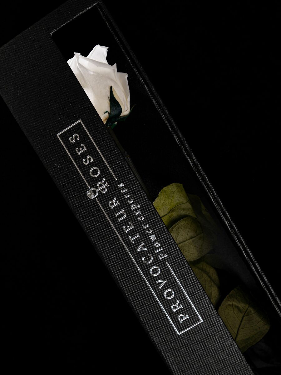 Eternity Pure White Rose - Imagen 6