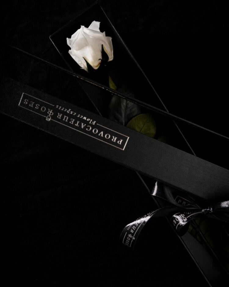 Eternity Pure White Rose