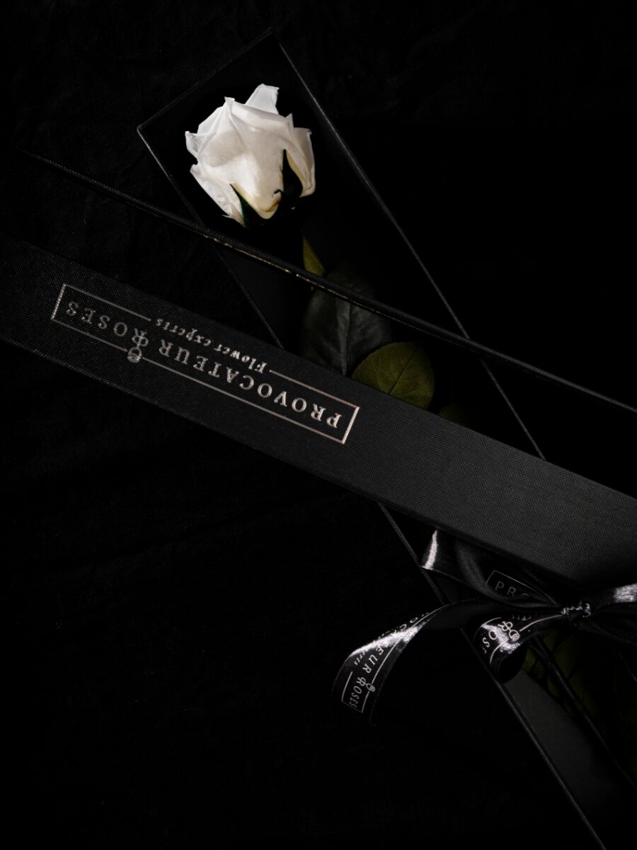 Eternity Pure White Rose