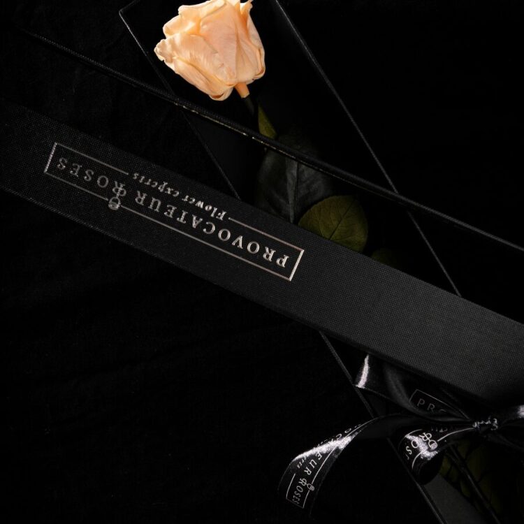 Eternity Peach Nectar Rose