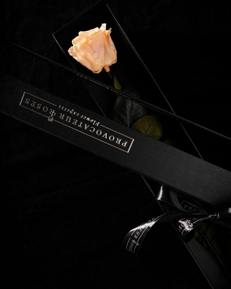 Eternity Peach Nectar Rose