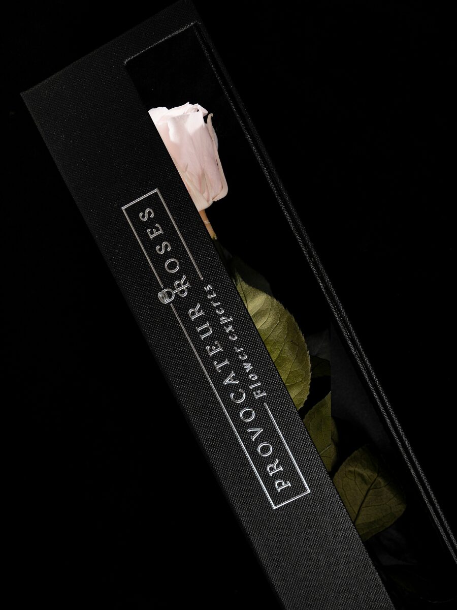 Eternity Pink Blush Rose - Imagen 4