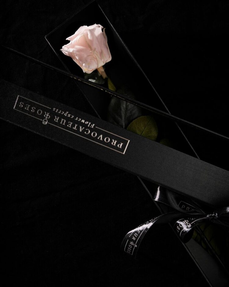 Eternity Pink Blush Rose