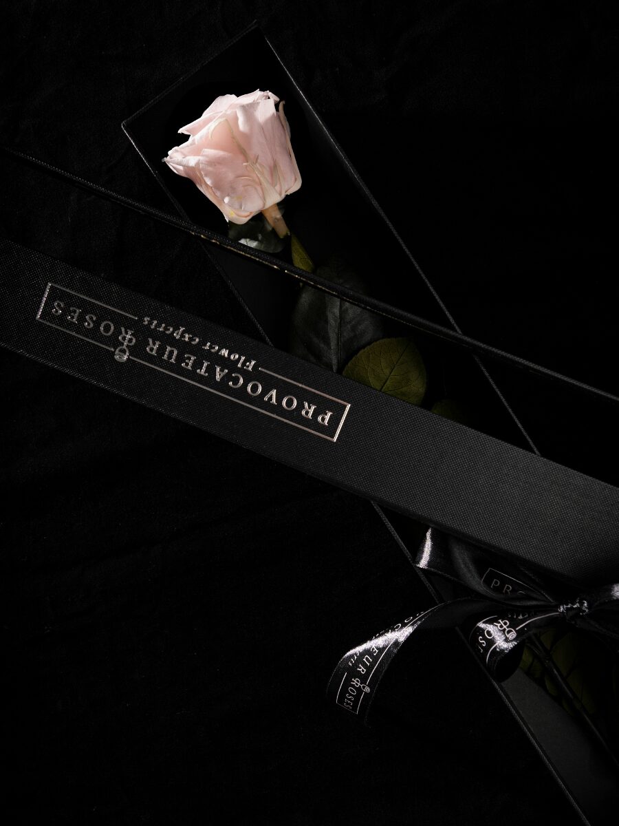 Eternity Pink Blush Rose