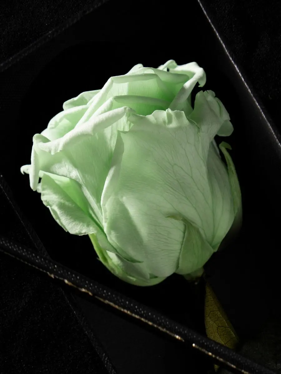 Eternity Minty Green Rose - Image 2