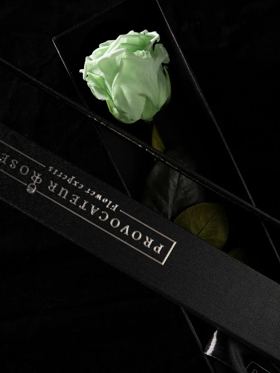 Eternity Minty Green Rose - Image 3