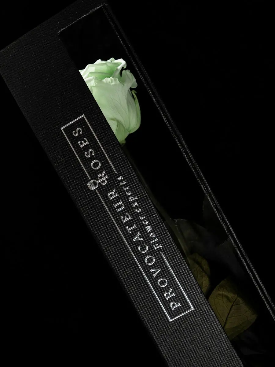 Eternity Minty Green Rose - Image 4