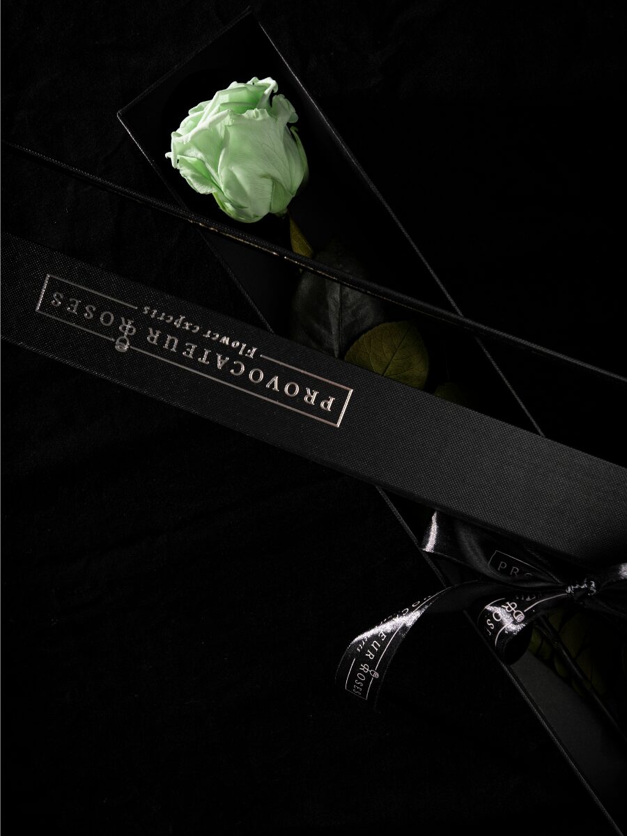 Eternity Minty Green Rose