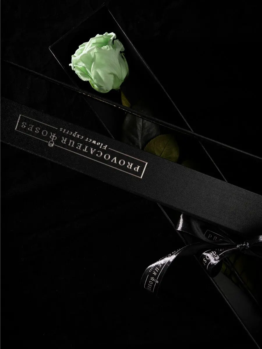 Eternity Minty Green Rose