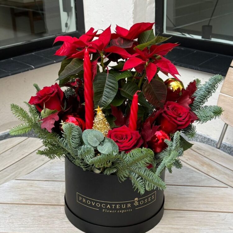 Esperanza de Luz Navideña