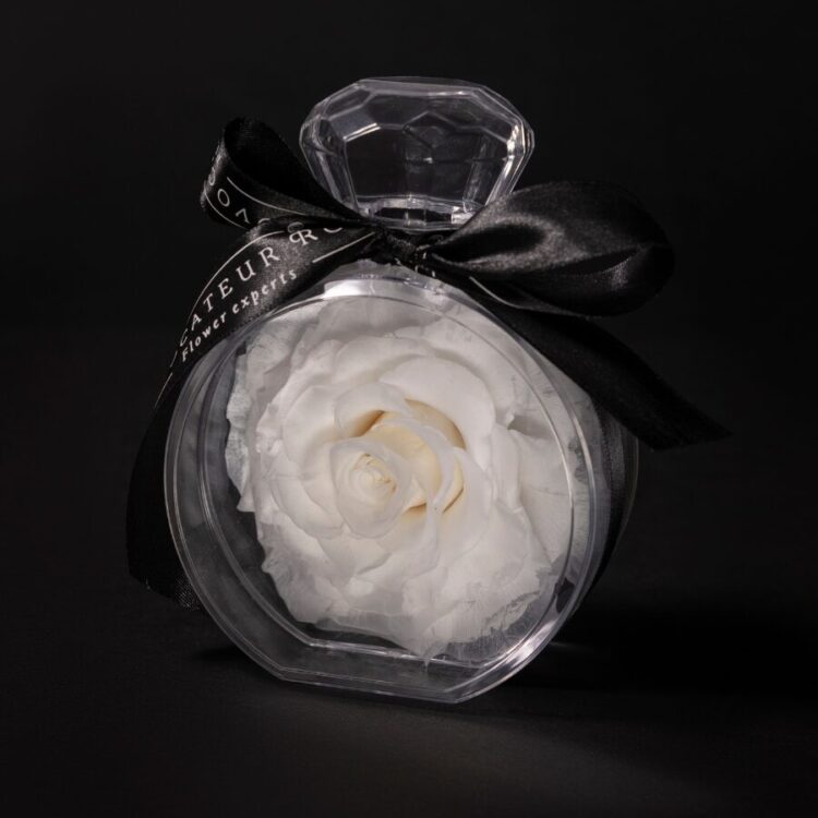 Eternal Rose Élixir