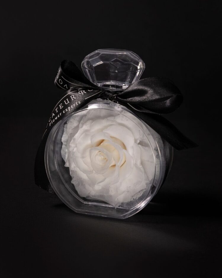 Eternal Rose Élixir