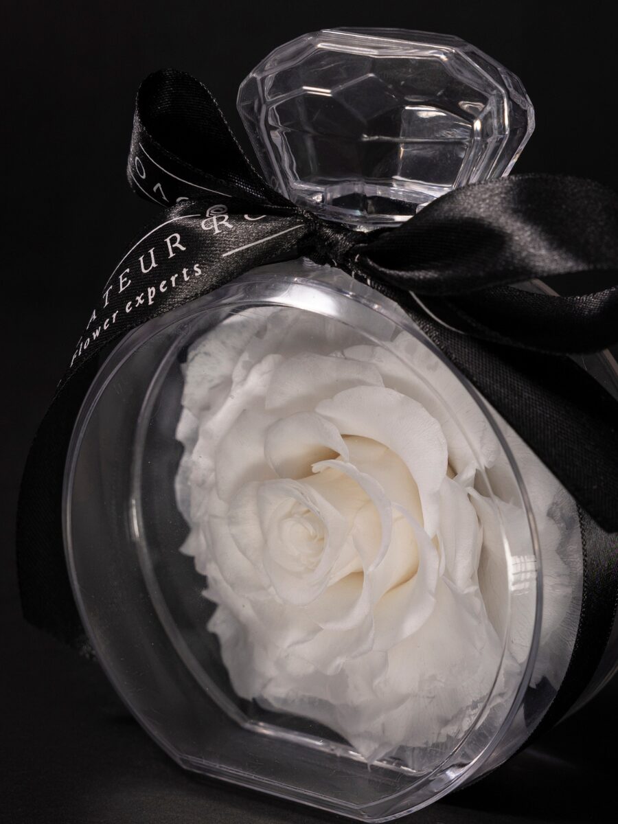 Eternal Rose Élixir - Imagen 3