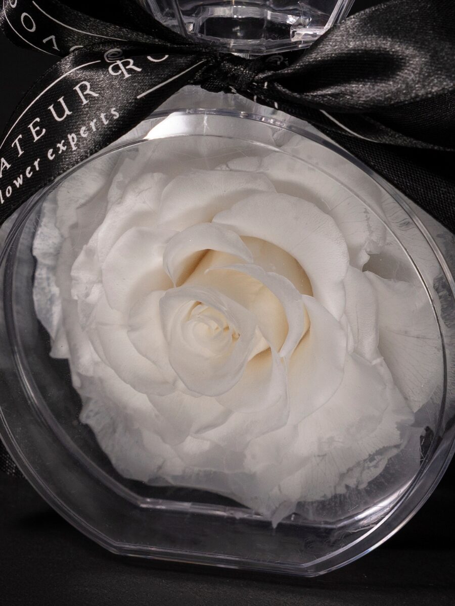 Eternal Rose Élixir - Imagen 2