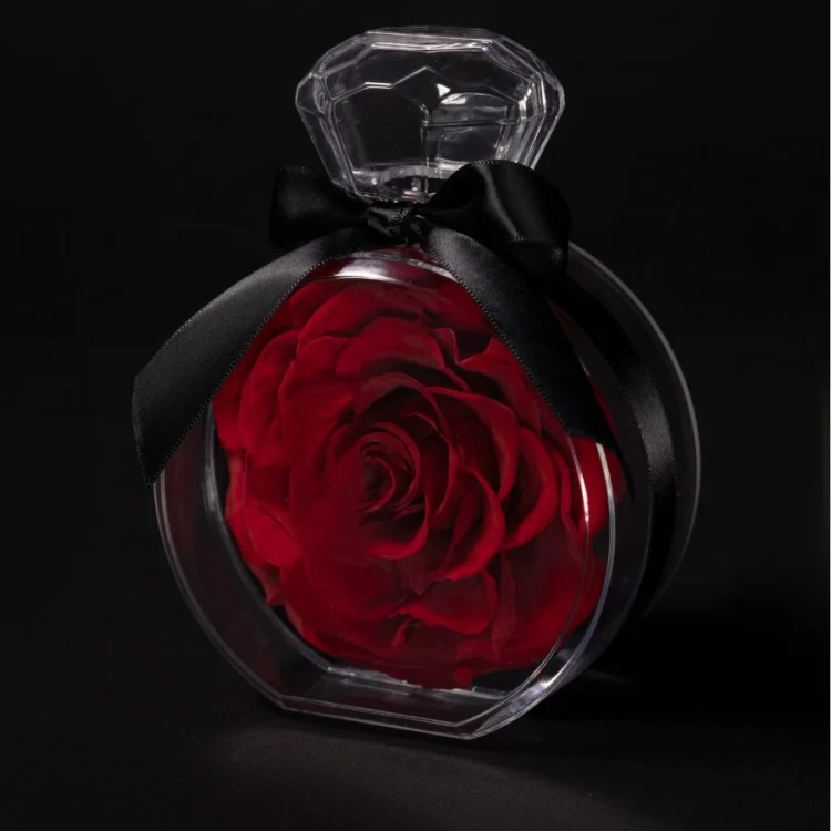 Eternal Rose Elixir Rouge