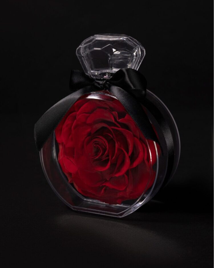 Eternal Rose Élixir Rouge