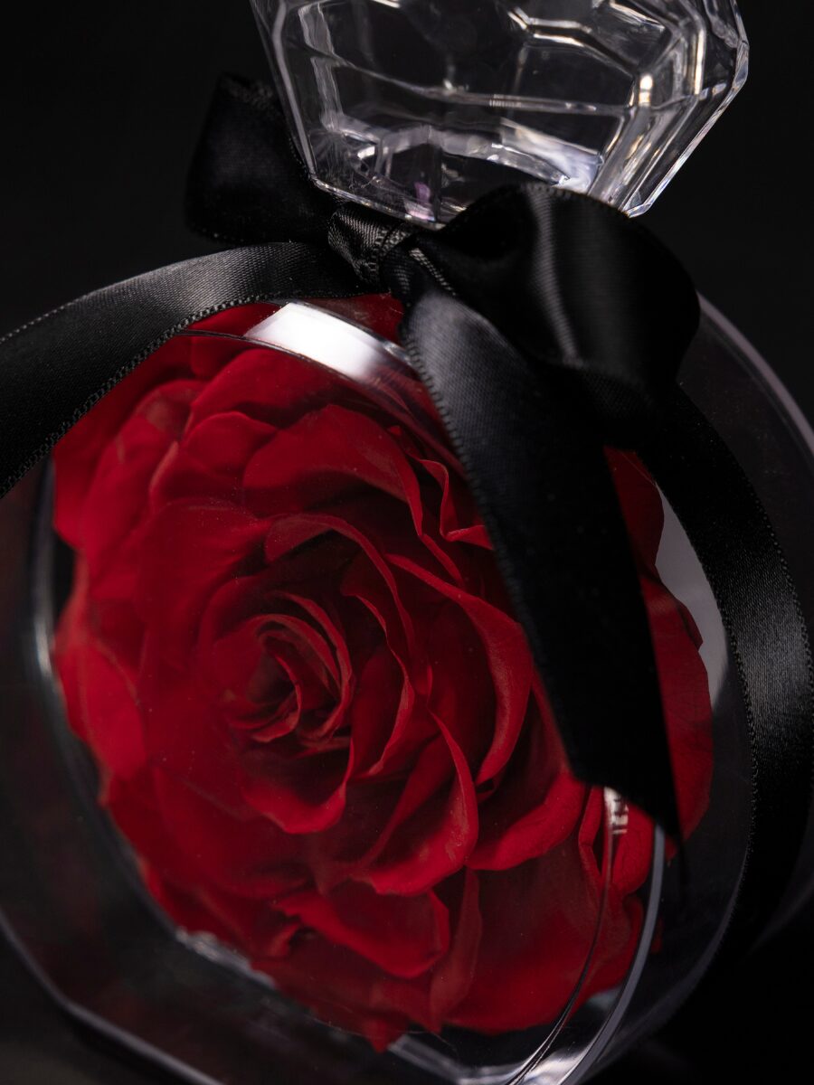 Eternal Rose Élixir Rouge - Imagen 2