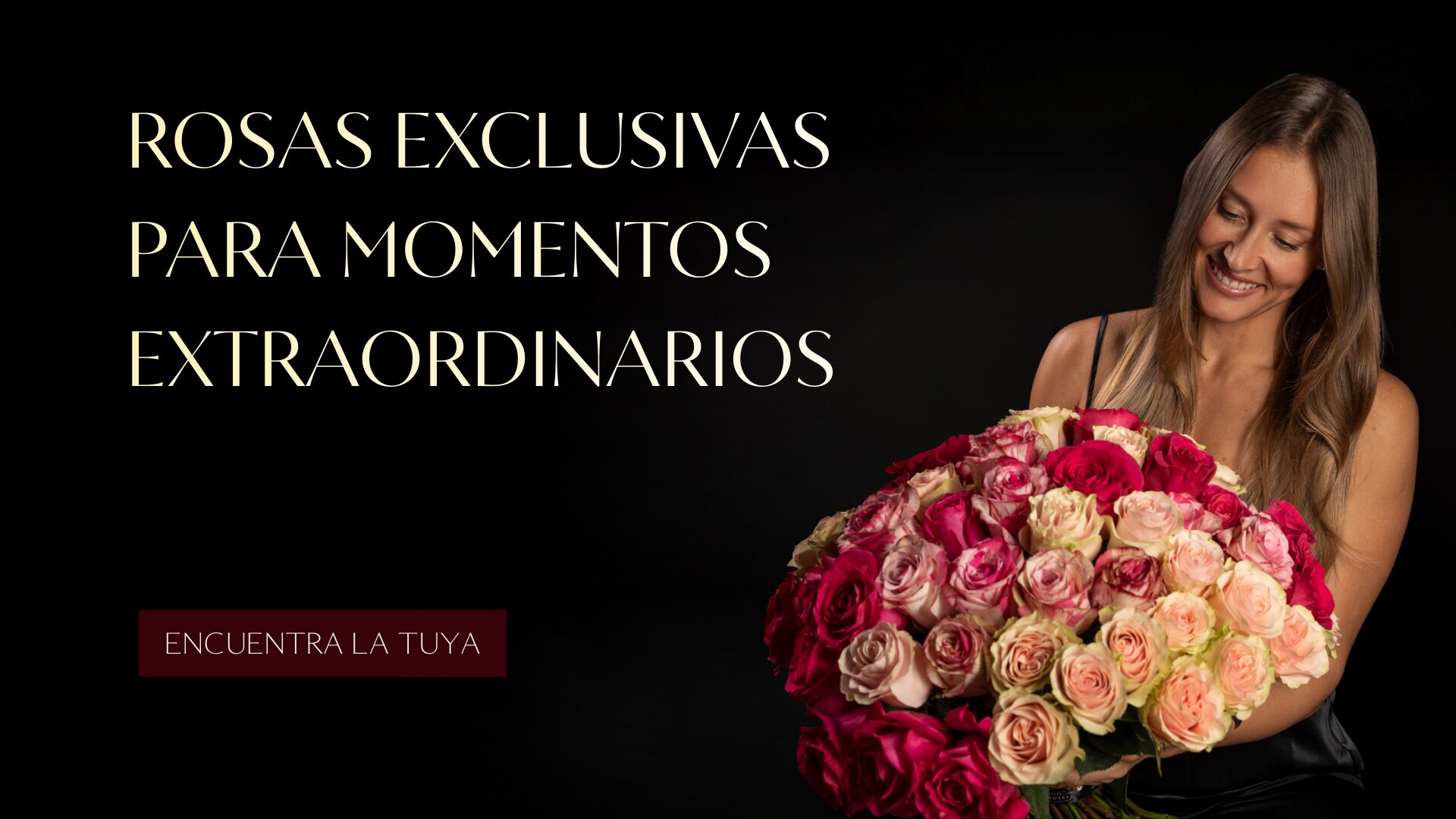 Banners Home desde Agosto (21)