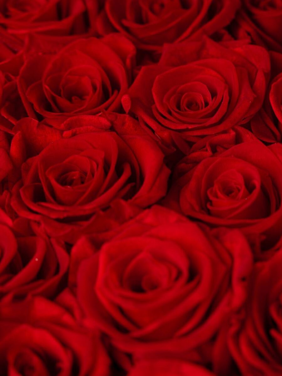 Red Eternal Rose Box - Imagen 3