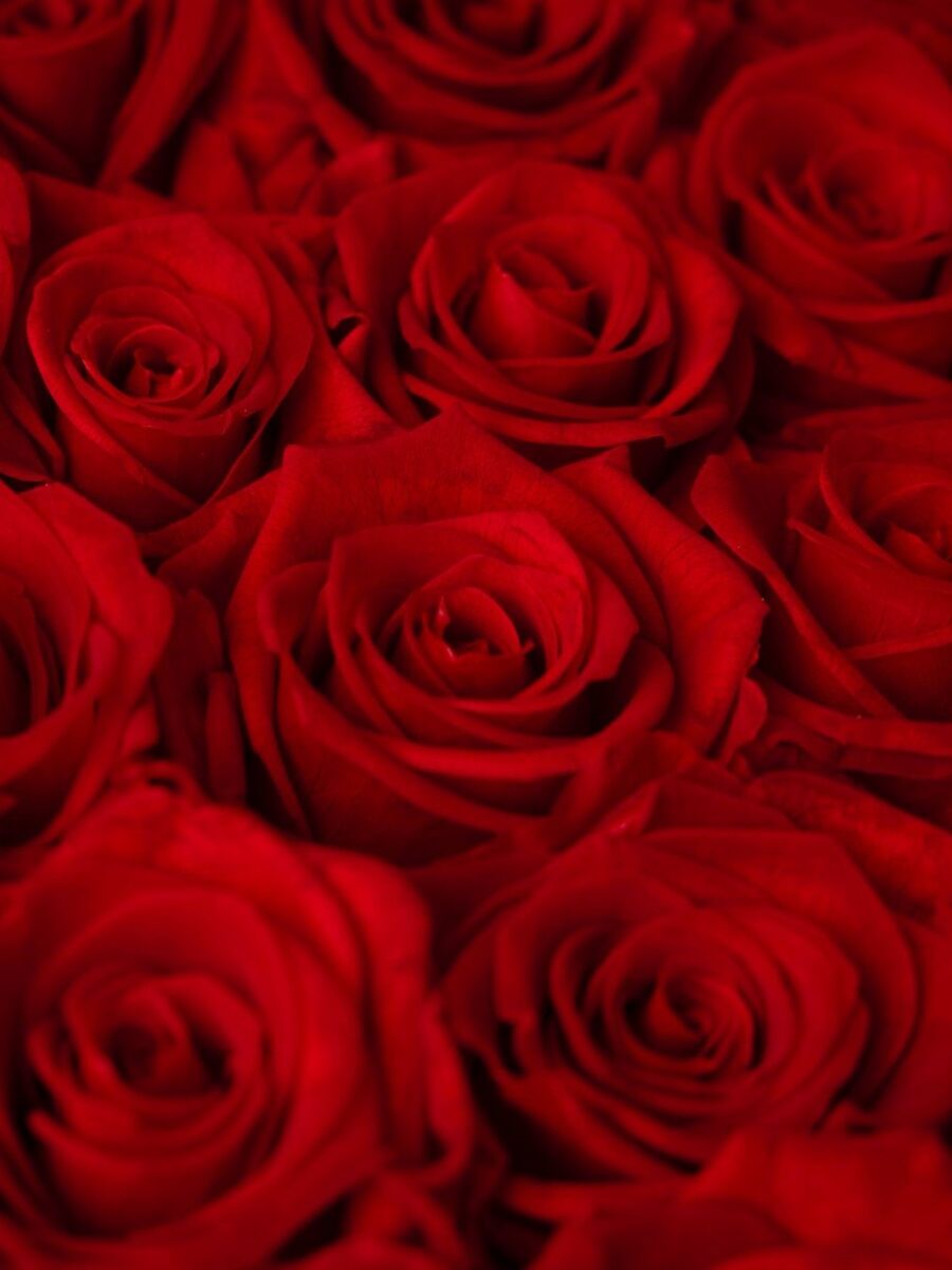 Red Eternal Rose Box - Imagen 2