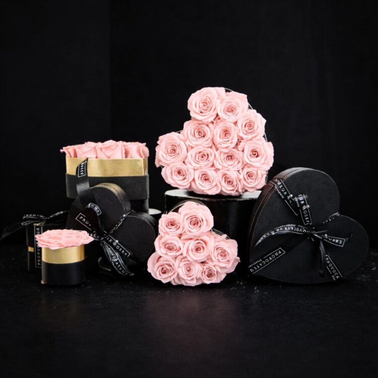 Sweet Heart - Soft Blush