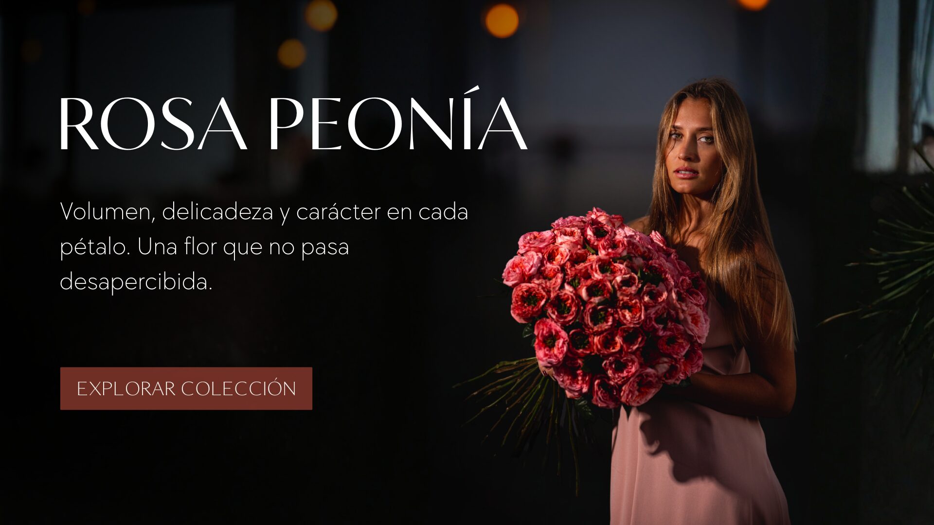 Banners Home desde Agosto (30)