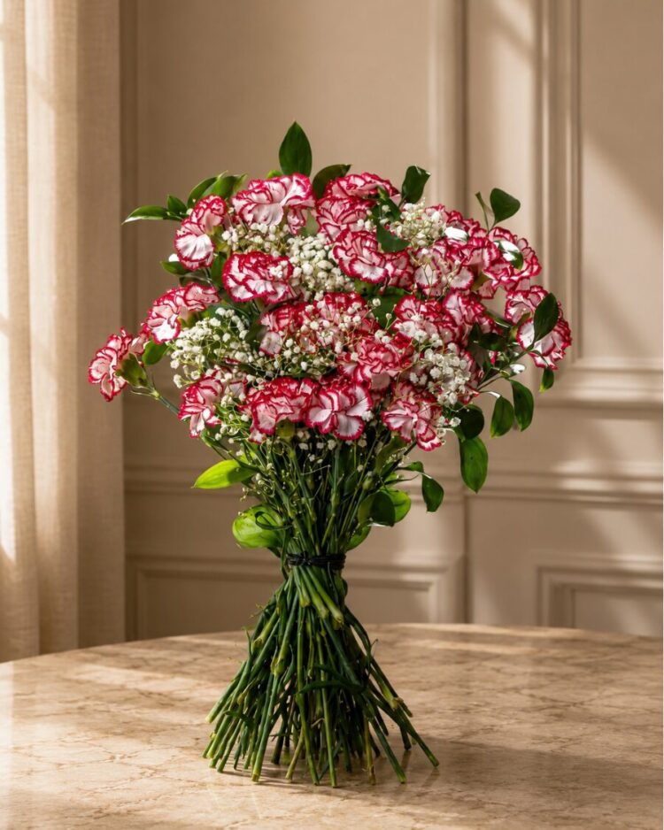 Ramo 24 Claveles Bicolor Rosa y Blanco con Verdes