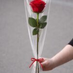 Tallo de rosa roja fresca +6,00&euro;