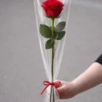 Fresh red rose stem +6,00€