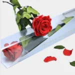 Eternal red rose +€20,00