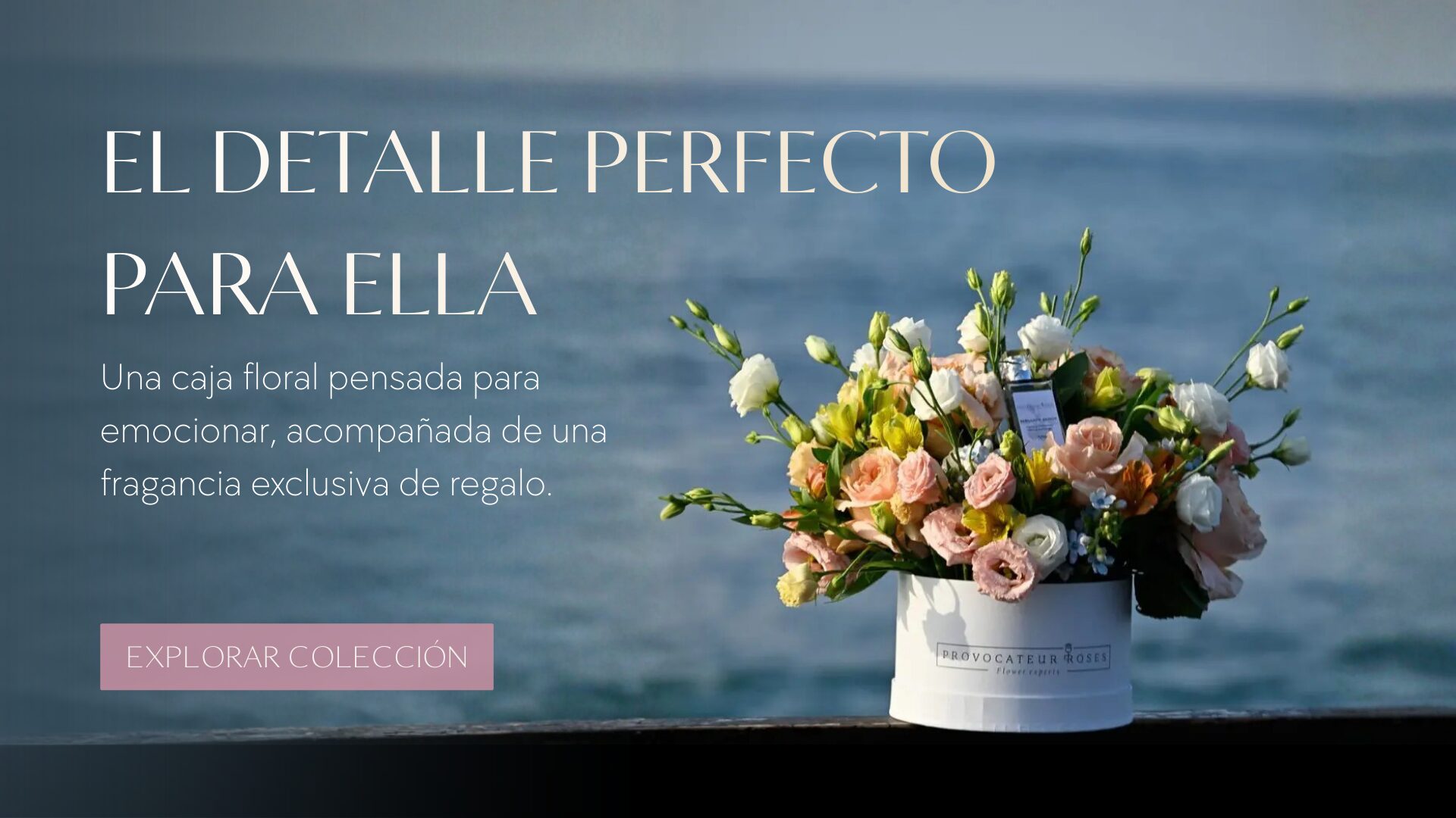 Banners Home desde Agosto (32)