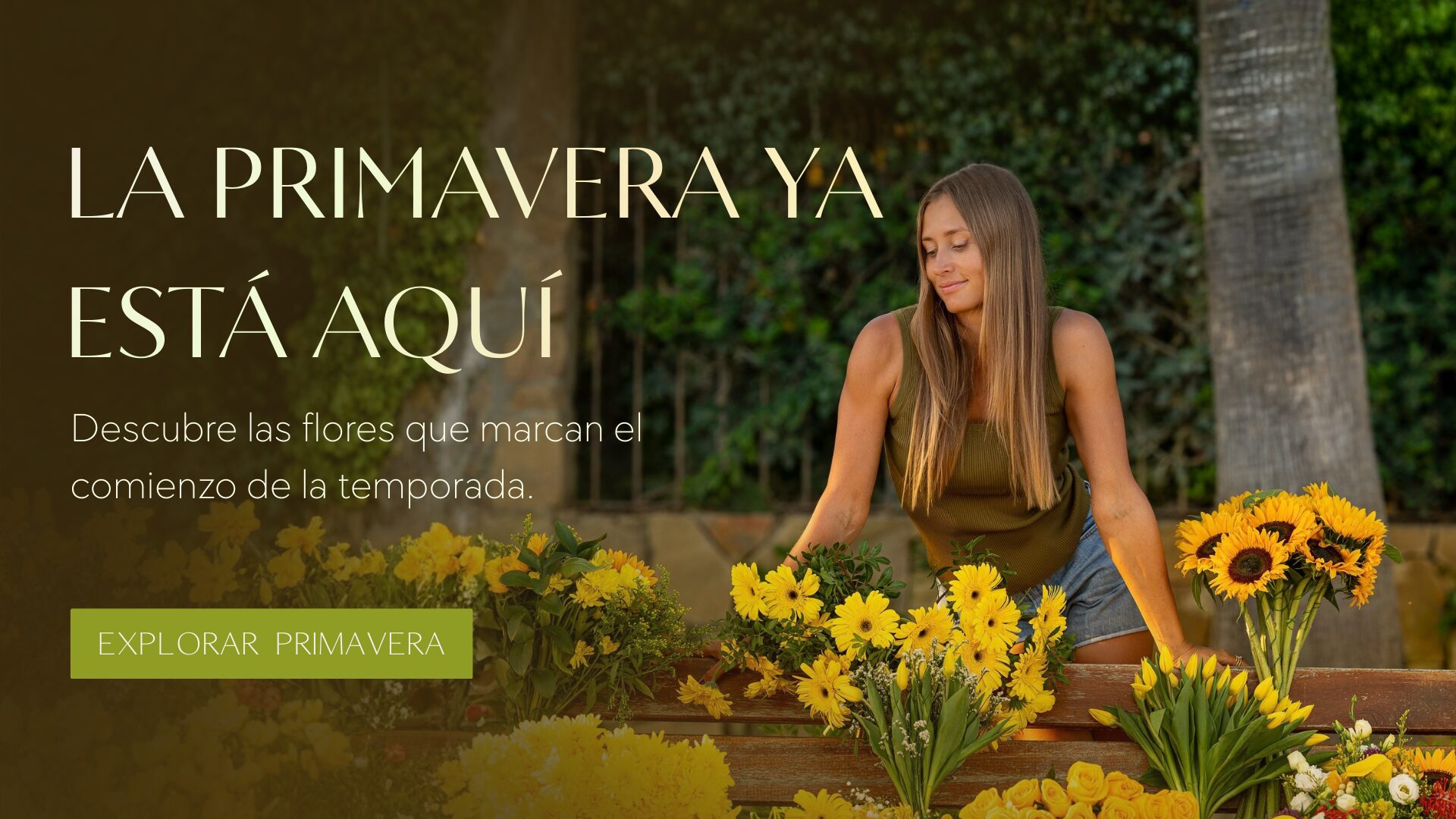 Banners Home desde Agosto (33)