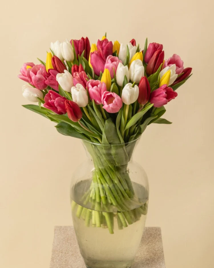 Bouquet of 50 colorful tulips
