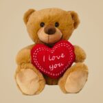 Teddy I Love You +15,00&euro;