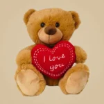 Teddy I Love You +€15,00